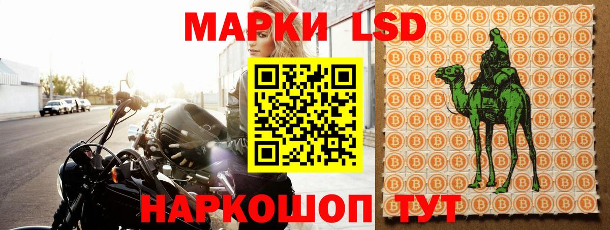 omg ссылки  ЛСД экстази ecstasy  Гудермес  Вход с VPN  Лсд 25 экстази ecstasy 