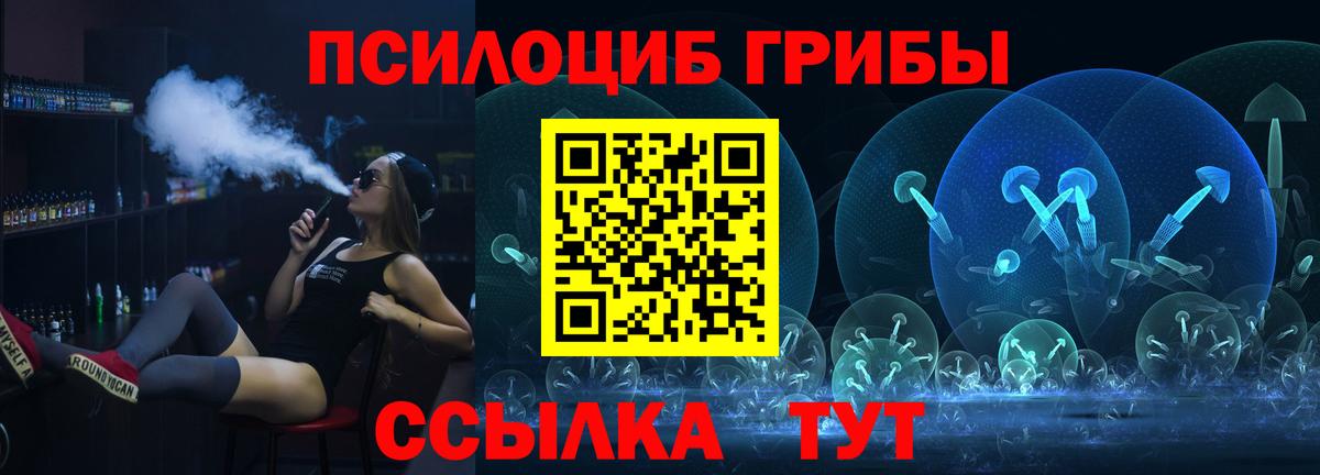 Гудермес  купить наркоту  Галлюциногенные грибы MAGIC MUSHROOMS  Вход с VPN  Галлюциногенные грибы MAGIC MUSHROOMS 
